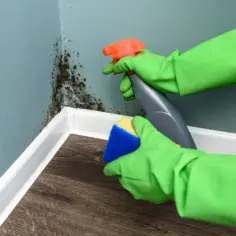 Jak pozbyć się grzyba ze ściany skutecznie i na zawsze? Praktyczne porady
